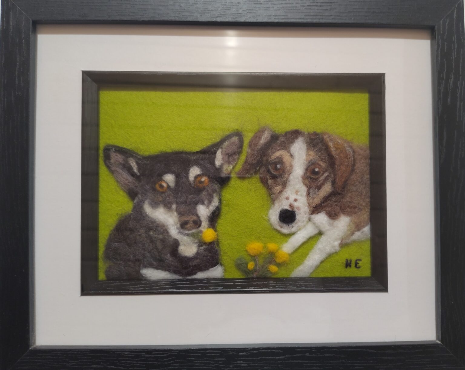about pooches